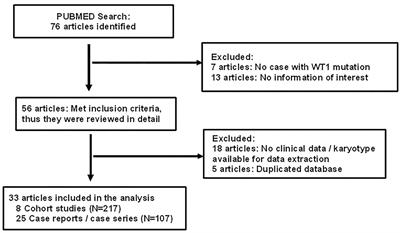 Spectrum of Clinical Manifestations in Children With WT1 Mutation: Case Series and Literature Review